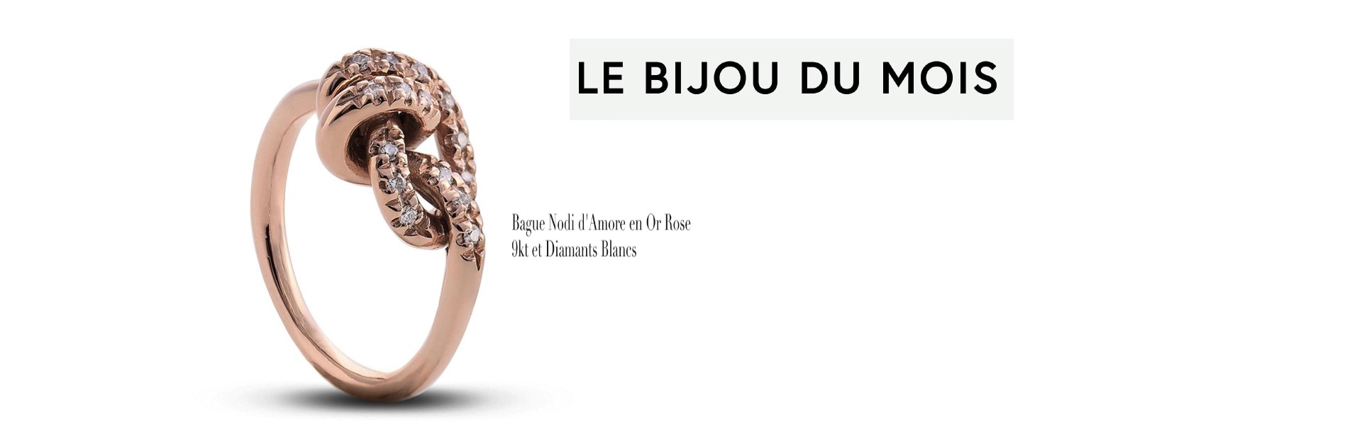 bijoudumois